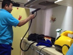 家電清洗設備、技術與家政服務市場全解析