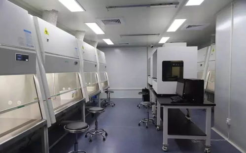手握科技利劍 園區(qū)科技企業(yè)與疫情賽跑